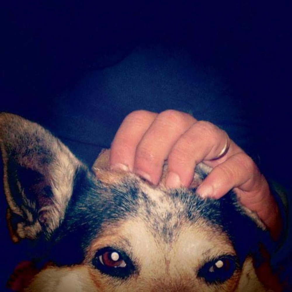 Hey there!  I'm KoraBeth!